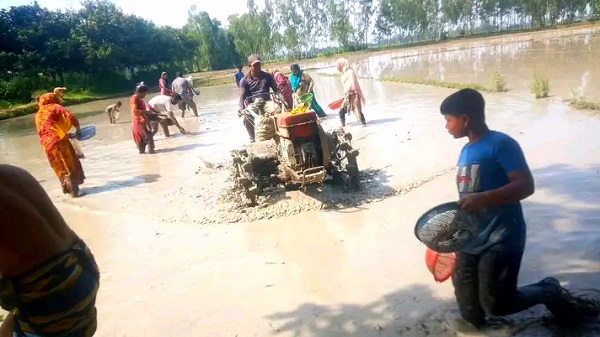 বর্ষার পানিতে নবাবগঞ্জে গ্রামবাংলার চিরচেনা মাছ ধরার উৎসব