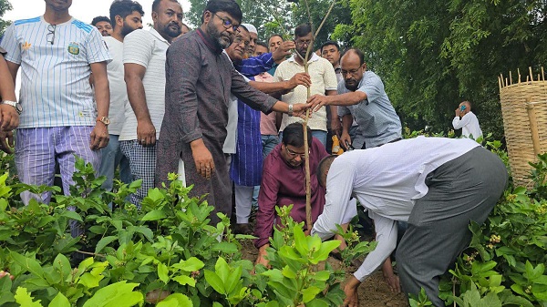 শার্শায় জলবায়ু পরিবর্তন মোকাবেলায় বিএনপির বৃক্ষরোপণ কর্মসূচি