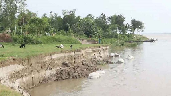 ভয়াবহ রূপ নিচ্ছে যমুনা নদীর ভাঙন