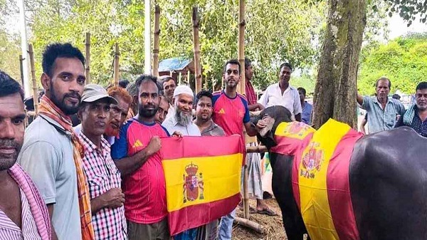 ফাইনাল উদযাপনে মাদারীপুরে স্পেন সমর্থকদের ‘এলাহী আয়োজন’
