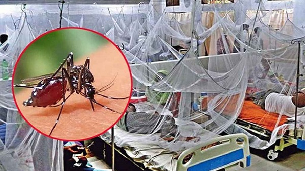 ২৪ ঘণ্টায় ডেঙ্গুতে আরও একজনের মৃত্যু, হাসপাতালে ভর্তি ৩৫০