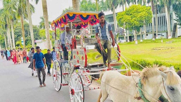 ঘোড়ার গাড়ি ও লাল গালিচায় বাকৃবি অধ্যাপকের রাজকীয় বিদায়