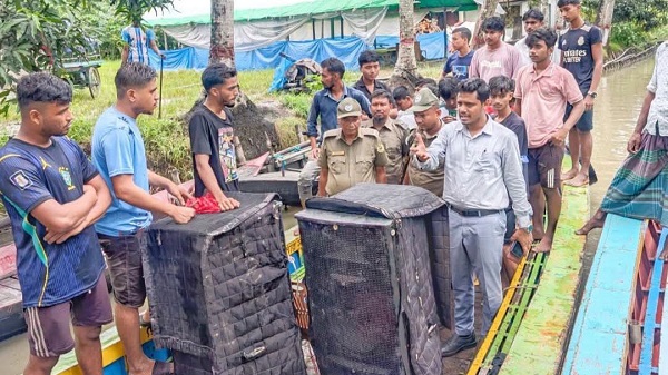 নেছারাবাদের পেয়ারা বাগানে উচ্চ শব্দে সাউন্ডবক্স বাজানোয় জরিমানা, জব্দ দুই বক্স