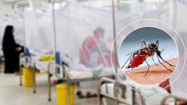 ২৪ ঘণ্টায় ডেঙ্গুতে আরও ৩ জনের মৃ/ত্যু, হাসপাতালে ৪৫৮