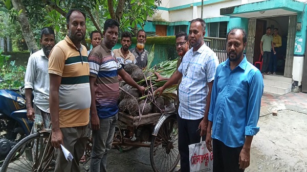 দিঘলিয়ায় পরিবেশের সবুজায়নে কৃষকদের মাঝে নারিকেল গাছের চারা বিতরণ