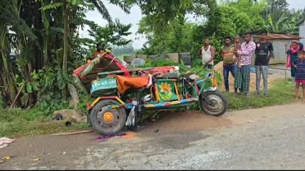 নালিতাবাড়ীতে অটোরিকশা দুর্ঘটনায় চালকসহ দুইজন নিহত