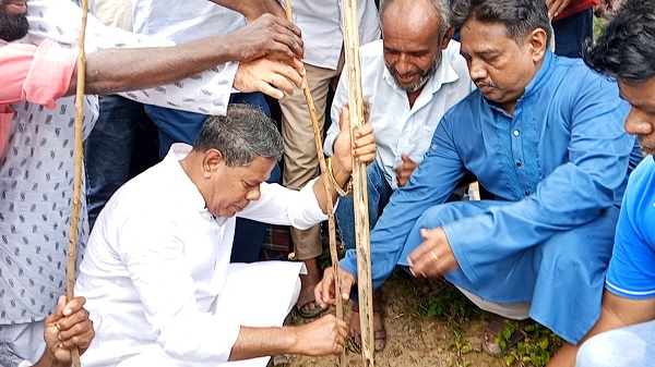 একটি সন্তান জন্ম নেবার সাথে সাথে একটি গাছ লাগান, ভবিষ্যতে আর্থিক সুফল পাবেন —এমপি 