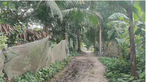 চকরিয়ার পুকুরিয়া খোলা উত্তরপাড়ার কাঁচা সড়কে দুর্ভোগ, উন্নয়নের দাবি এলাকাবাসীর