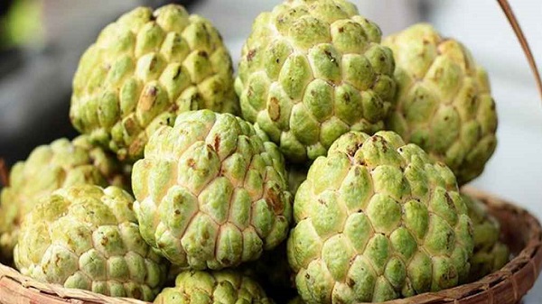 ওজন কমাতে সাহায্য করে আতাফল